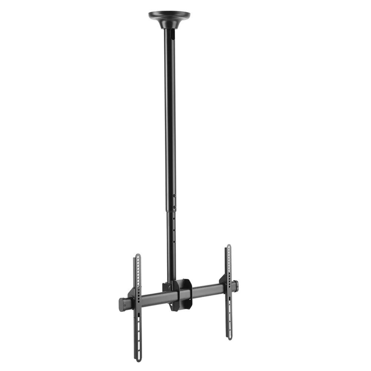 ���� ����