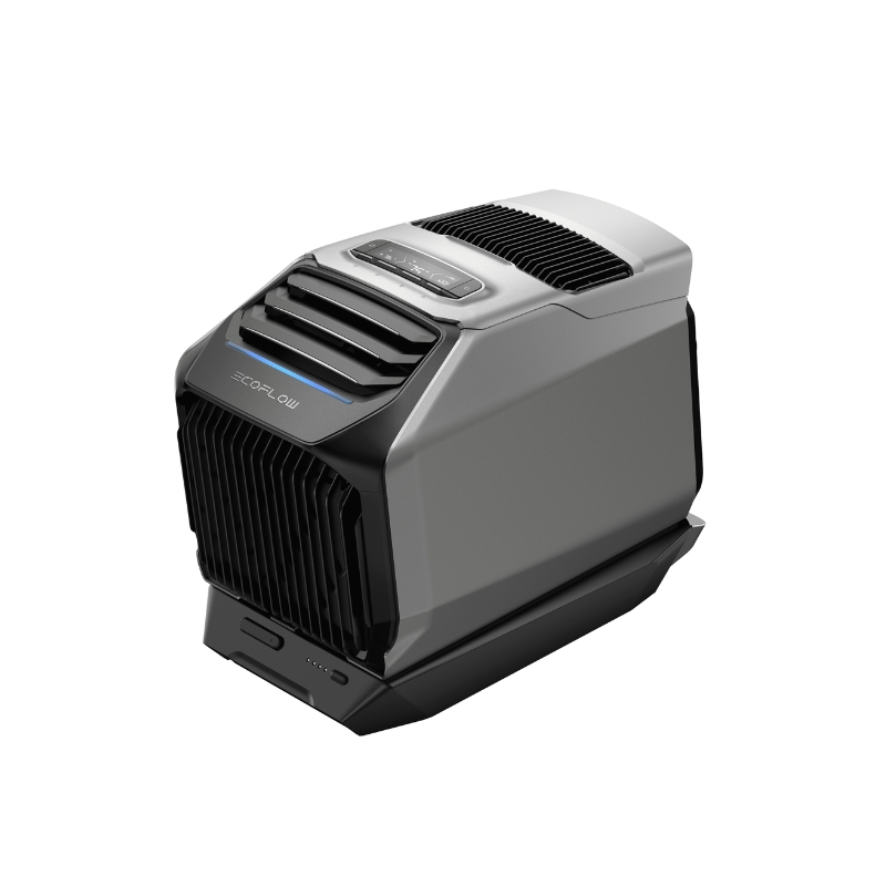 ���� ���� ����