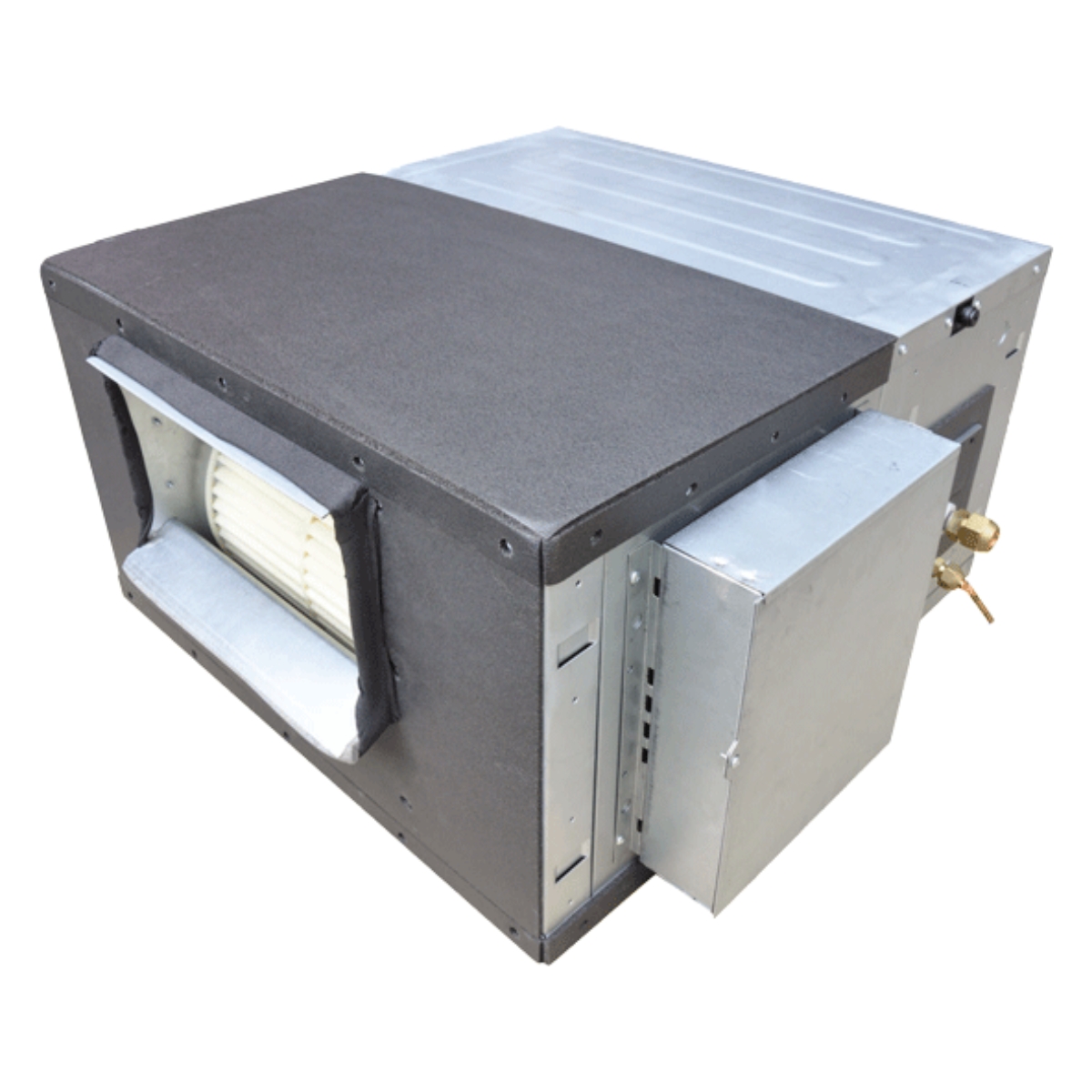 ���� ���� �����